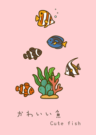 我養的海水魚(粉紅色)