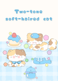 Two-tone soft-haired cat1