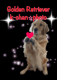 Golden Retrever K. Heart.