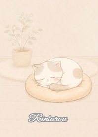 Cozy Lazy Cat: Rintarou