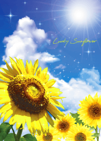 Bring good luck Blue sky & Sunflowers10*