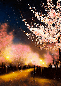 Beautiful night cherry blossoms#1028