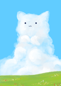 summer cat sky