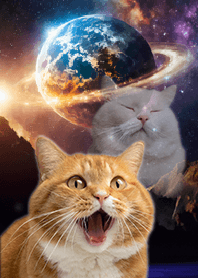 【 宇宙猫 】茶トラver