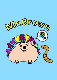 New Hedgehog Mr.Brown
