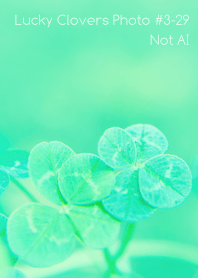Lucky Clovers Photo#3-29Not AI