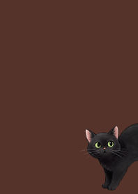 Black Cat and Good Friends.5