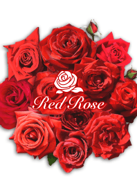紅玫瑰2