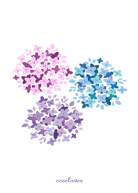 ピンク　ブルー　パープル　推し色アジサイ