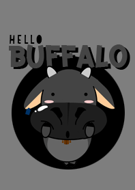 Hello Buffalo