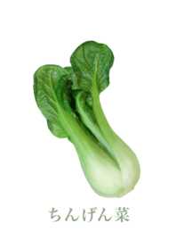 Bok choy 14