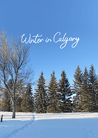 Winter in Calgary (11)
