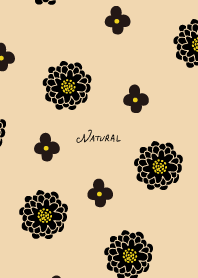 2 types of flowers black20 from Japan