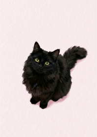 Black Cat Sweet Pink theme