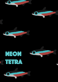 Neon tetra little fish