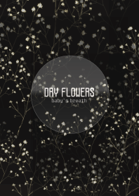 DryFlowers-baby's breath-