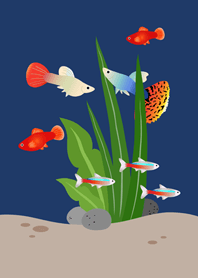 ตู้ปลาเสมือนจริง!(สีกรมท่า)