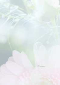 Flower Theme 30