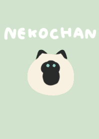 Cat Theme 9