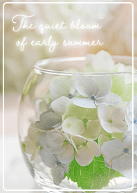 beige Quiet early summer 02_2