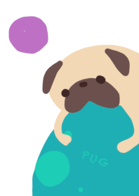 カラフル＆パグ