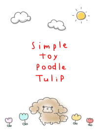 simple toy poodle Tulip.