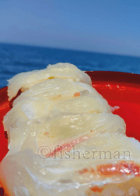 Red sea bream sushi