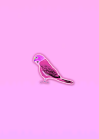 Simple lucky parakeet 7