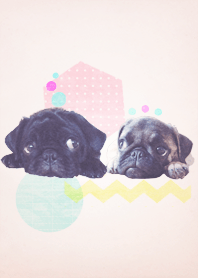 pug & pug.