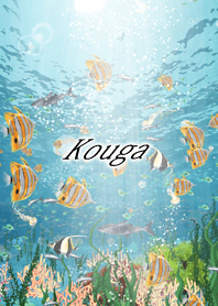 Kouga Coral & tropical fish