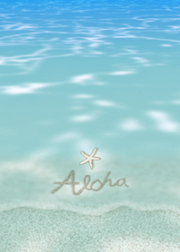Hawaii*ALOHA+281