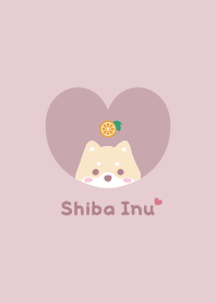 Shiba Inu2 Orange - pink