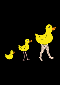 evolution duck-classic black