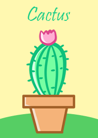 กระบองเพชร สุดน่ารัก