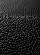 BlackLeather 2