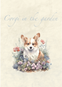 Corgis in the garden