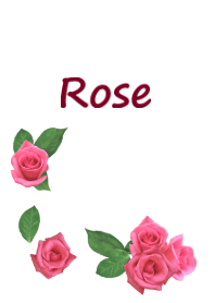 Pink simple rose