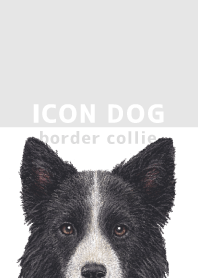 ICON DOG - Border Collie - GRAY/03