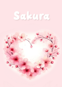 Cherry blossoms blooming - JP56