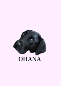 黒ラブハンちゃん