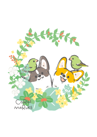 Love Corgi(Pembroke and Cardigan)