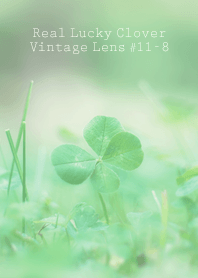Real Lucky Clover Vintage Lens #11-8