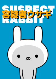 容疑者ウサギ
