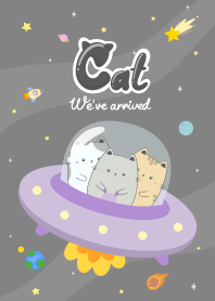 Cat universe : dark universe