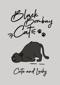 Black Bombay Cat Funny and Lucky