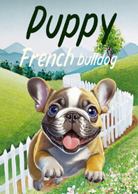 Puppy French Bulldog (Jp)