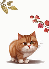 simple baby cat