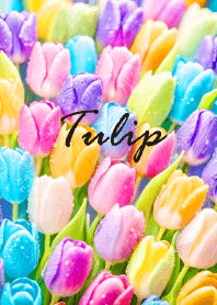 "Tulip vol.39" theme