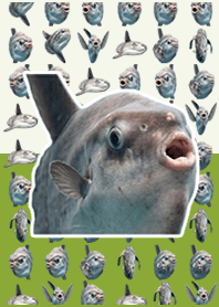 Ação ao vivo de peixe-lua Muted Green