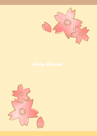 Pretty Cherry Blossoms on B&Y